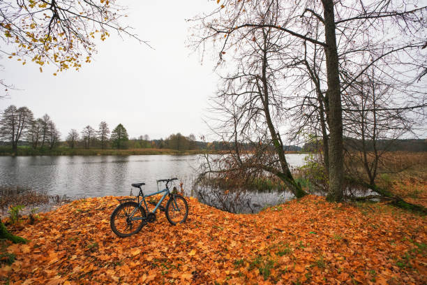 istock Beautiful autumn landscape with a river, a lone bicycle and fallen leaves 871114764