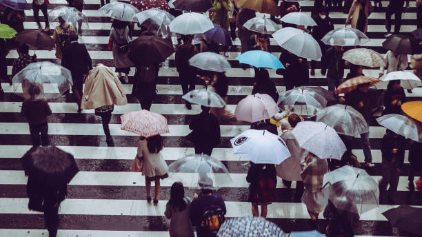 istock People across the crosswalk on a rainy day 871124710