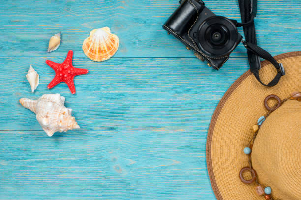 istock sea creatures and accessories, summer memories concept 871125842