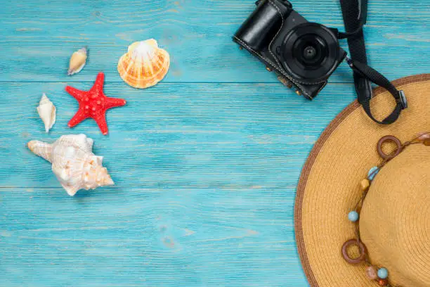 sea creatures and accessories, summer memories concept