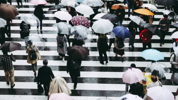 istock People across the crosswalk on a rainy day 871126408
