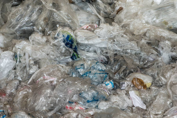 istock Separation of Plastic at Garbage Recycle Center 871137068