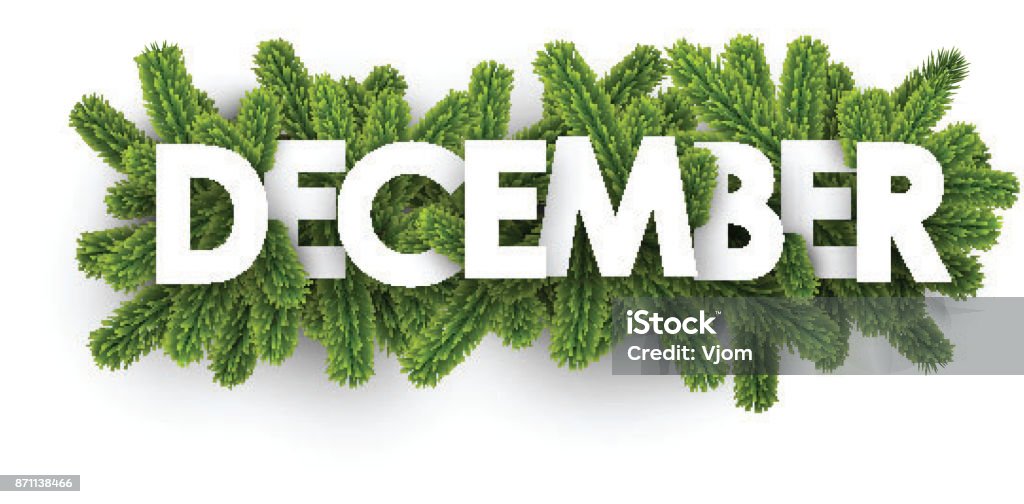 December banner with fir branches. White december banner with green fir branches. Vector illustration. December stock vector