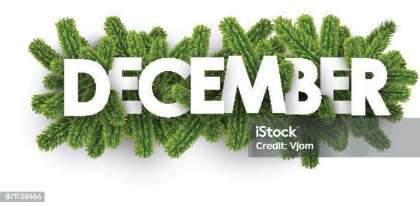 December Banner With Fir Branches Stock Illustration - Download Image Now - December, Single Word, Typescript