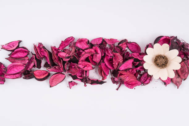 istock colorful dried flowers 871142536