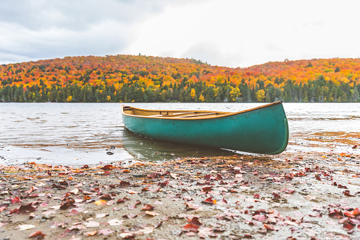 Canoe on the shore of a lake, autumn nature setting. Beautiful and tranquil scene in Canada, Algonquin Park