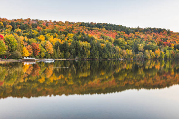 istock Autumn scene, trees with reflections on lake 871148772