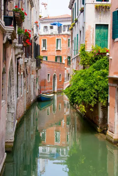 Green water streets in Venice