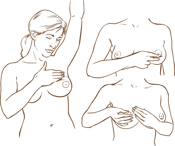ilustraciones, imágenes clip art, dibujos animados e iconos de stock de vector ilustración de un examen de cáncer de mama - covered nudity