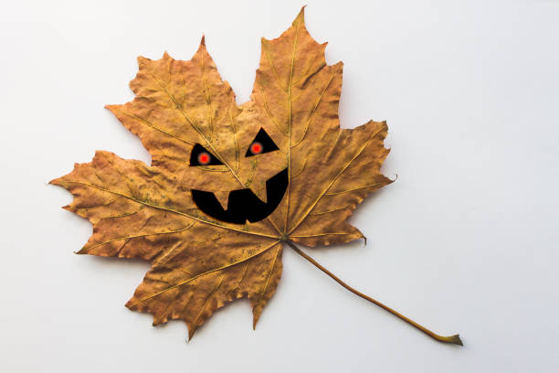 istock Single yellow autumn leaf with Halloween face on a white bacground 871173256