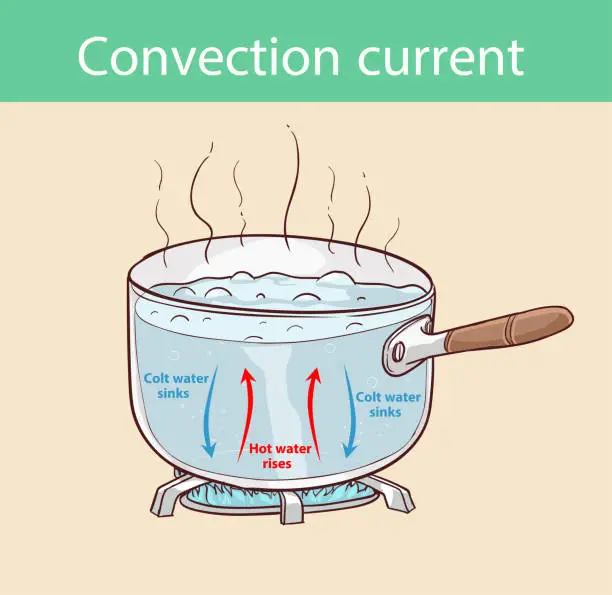 Vector illustration of Diagram illustrating how heat is transferred in a boiling pot