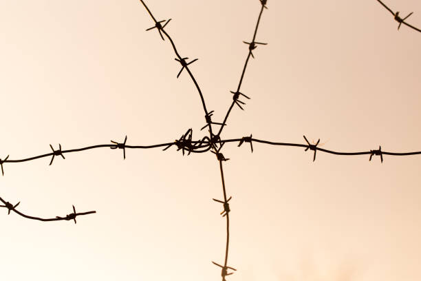 istock barbed wire against the sky at sunset 871179436