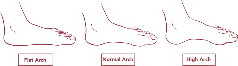 Normal Feet Angle Vector Vector Illustration Of A Flat And Normal Feet Stock Illustration ...