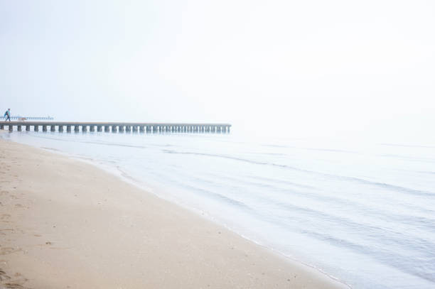 Sandy beach on foggy winter day