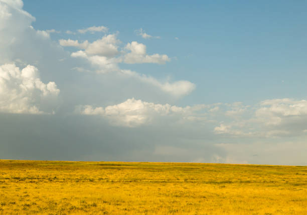 istock beautiful landscape with clouds in the sky 871182124