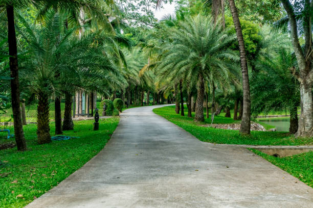 istock Concrete country road 871182374