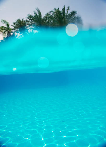 istock nice view of the swimming 871185962