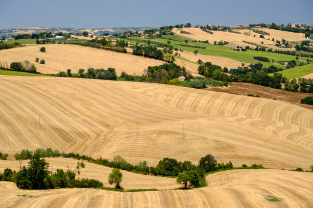 Summer landscape in Marches (Italy) near Ostra