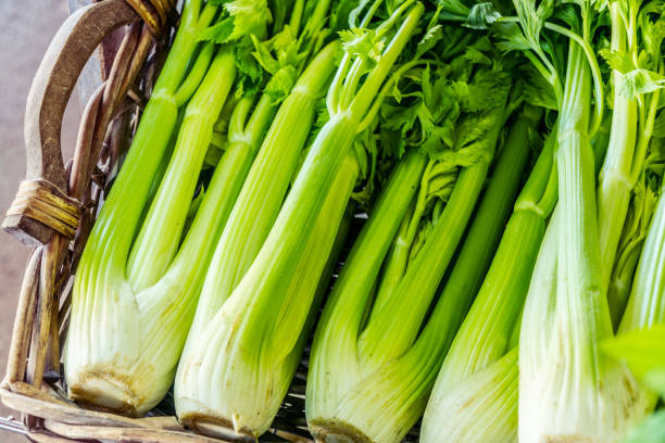 Heads of celery. Heads of celery. Close-up. celery stock pictures, royalty-free photos & images