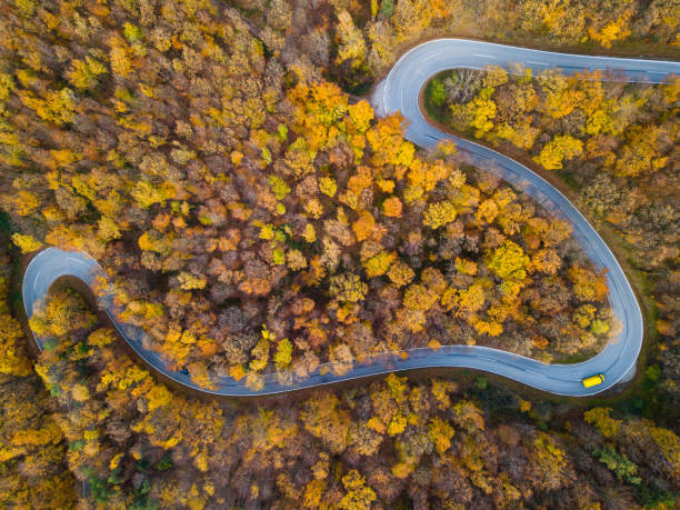 istock Drones: An Aerial Road Trip - autumn forest 871192336