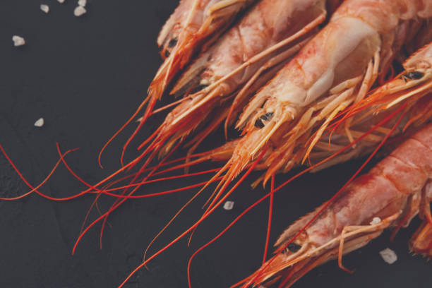 Fresh big red shrimps background. Close up of prawns on black backdrop. copy space