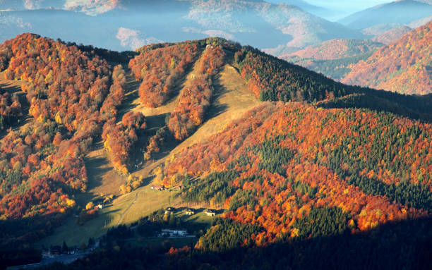 istock Fackov resort at fall, Slovakia 871196598