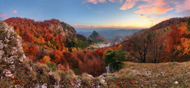 istock Mountain autumn landscape with colorful forest, Vrsatec, Slovakia 871196604