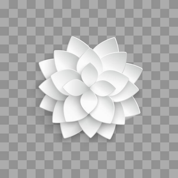 illustrations, cliparts, dessins animés et icônes de lotus 3d papier blanc isolé sur fond transparent - abstract petal blossom decoration