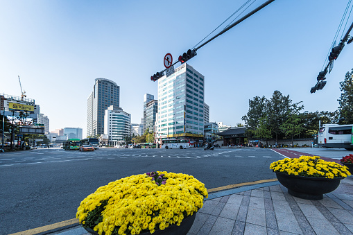 Flowers and tall buildings line the roads in the city centre of Seoul, South Korea. Some traffic on the roads.