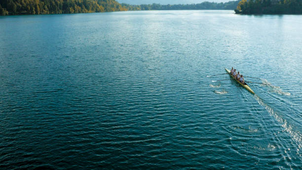 istock Four male athletes sculling on lake in sunshine 871208970