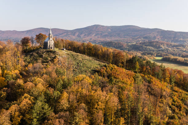 istock aerial view of the autumn forest 871209024