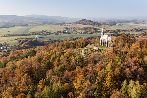 aerial view of the autumn forest