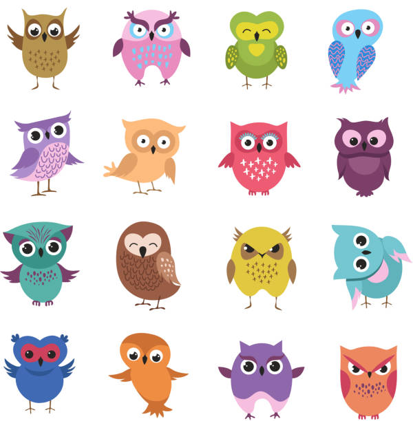 Cute cartoon owl characters vector set Cute cartoon owl characters vector set. Owl character bird, animal drawing comic and childish illustration owl illustrations stock illustrations