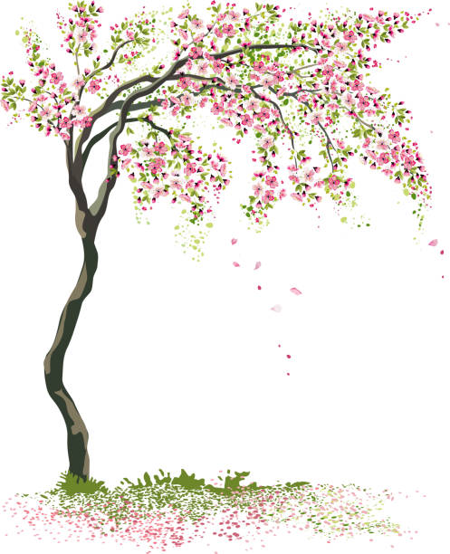 Small flowering tree vector art illustration