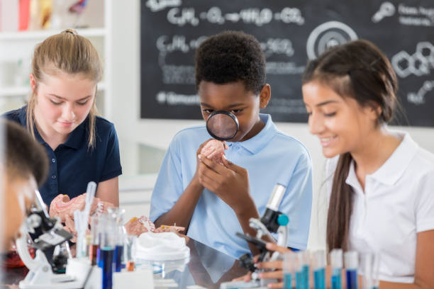 istock Middle school boy looks at brain model with magnifying glass 871228134