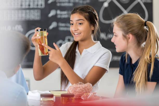 istock Group of STEM students discuss specimen in biology class 871228196
