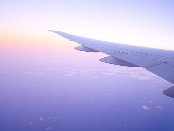 istock Airplane wing in the morning sunrise 871230772