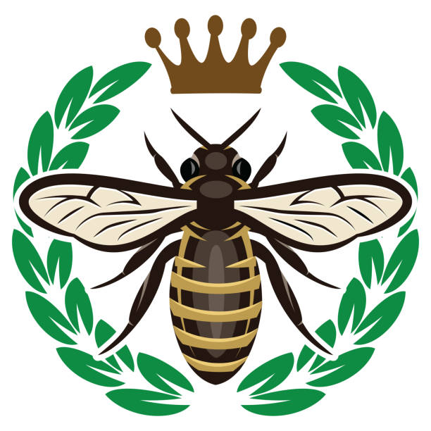 wektorowy wzór koloru z latającą pszczółką i koroną. - queen bee stock illustrations