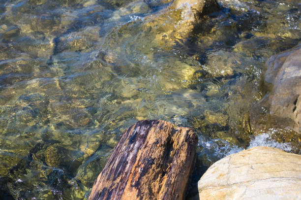 rocky sea shore with pebble beach, transparent waves with foam, on a warm summer day