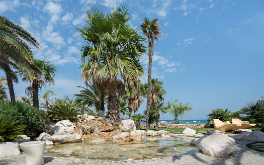 view of seafront of San Benedetto del Tronto palm grove - Ascoli Piceno - Italy