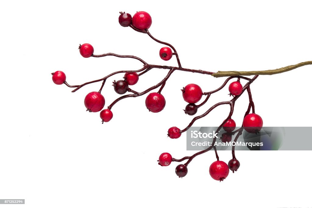 Red berries holly isolated on white background Red berries holly isolated on white background. Red Christmas ornaments frame. Image of Christmas. Top view with copy space. Berry Stock Photo