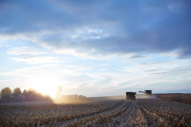 istock Harvest farm machinery illuminated by sunset light 871259296