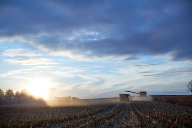 istock Farm machinery and dust illuminated by sunset 871259432