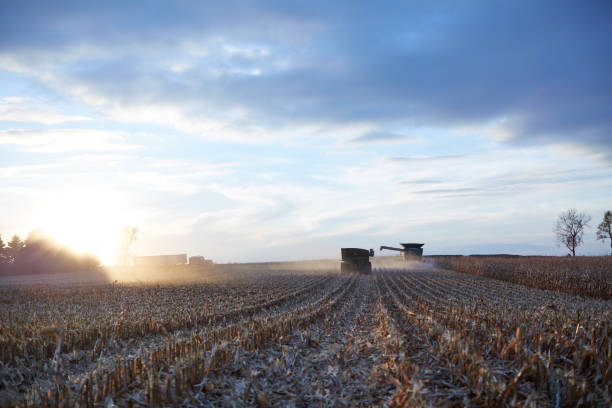 istock Dusty harvest farm machinery illuminated by sunset 871260326
