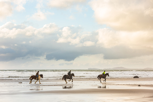 Fréhel, France, September 19, 2022 - Young lady enjoying horse riding on the beach of Sables d'Or Les Pins (Fréhel), Brittany.