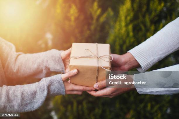 Man Giving Present To Woman Stock Photo - Download Image Now - Giving, Gift, Gift Box