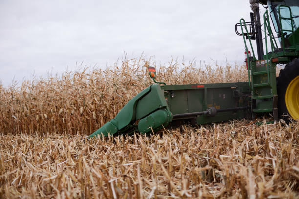 istock Close up the cutter bar of a working combine 871269054