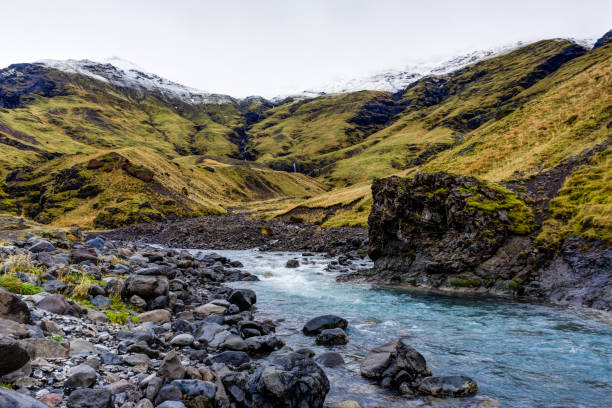 istock Iceland nature view with meadows and water 871273054