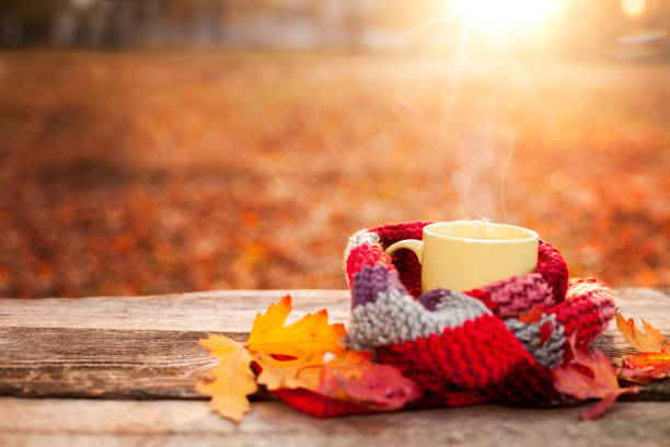 istock Tea mug and warm scarf with fallen leaves 871274444