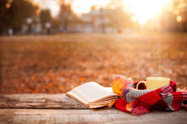 istock Open book, apple and tea cup with warm scarf 871274900
